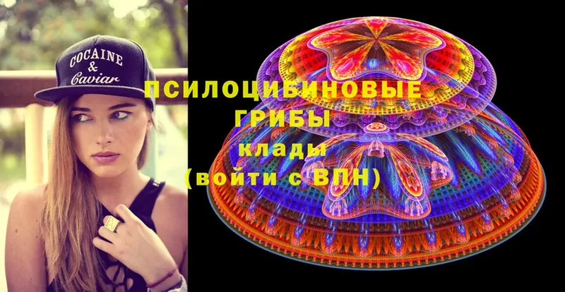 где купить наркоту  Бугуруслан  Галлюциногенные грибы Psilocybe 